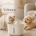 RAVUNELI™ Veloura Ceramic Pet Water Fountain – Whisper-Quiet Filtered Drinking Fountain for Cats and Small Dogs